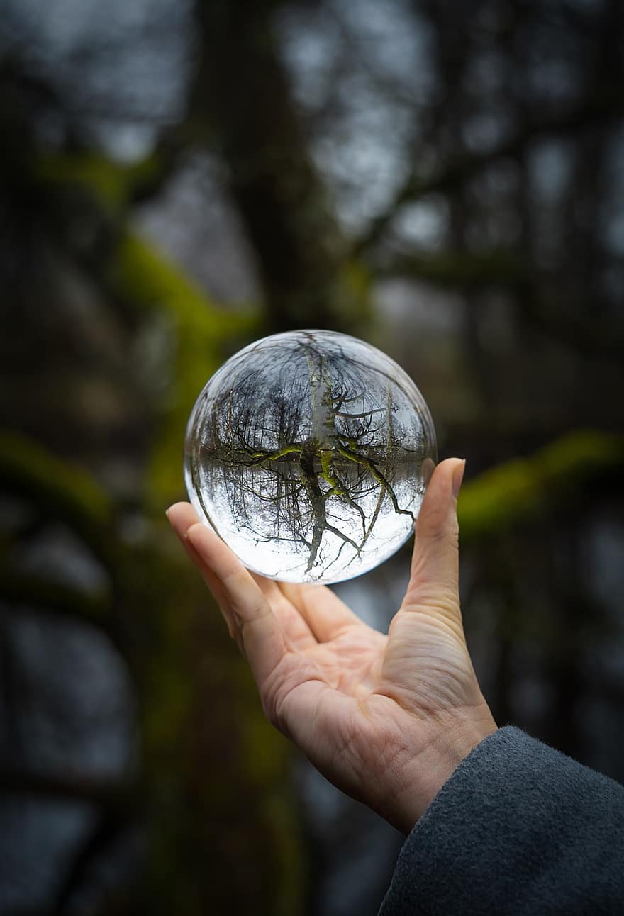 кристална топка, стъклена сфера, сферична леща, природа