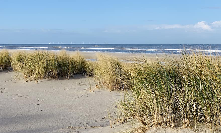 písečné duny, moře, wangerooge