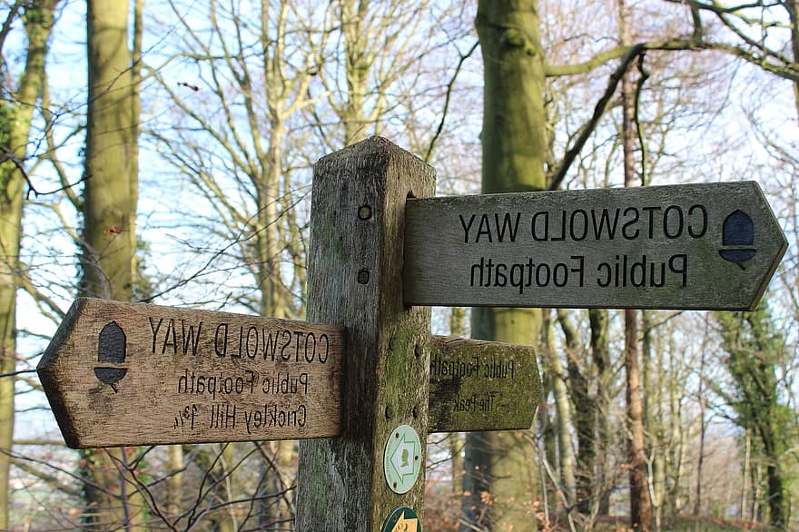 Sign Post, Forest, Trees, sign, direction, tree, hiking, directional sign, wood, footpath, travel
