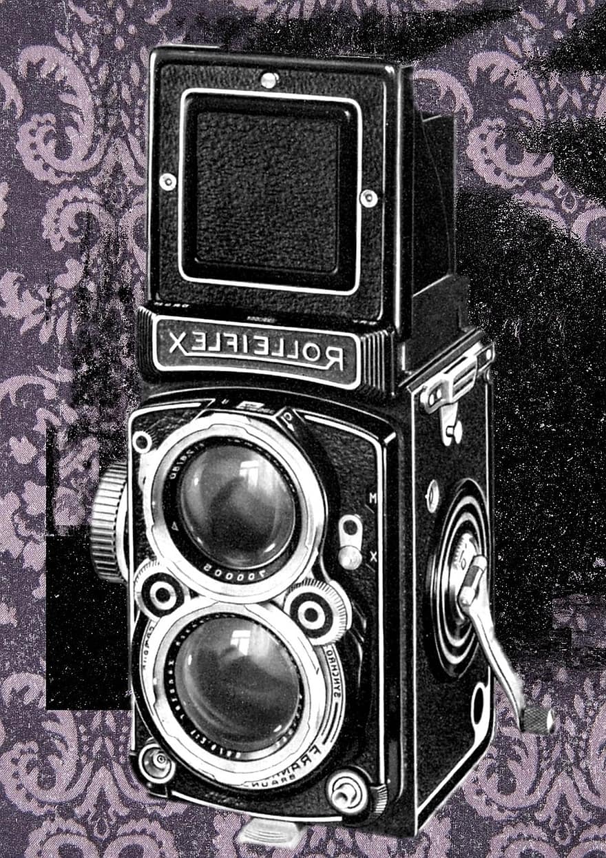 la photographie, ancien, caméra, antique, photographe, professionnel, photo, équipement, Créatif, image, numérique