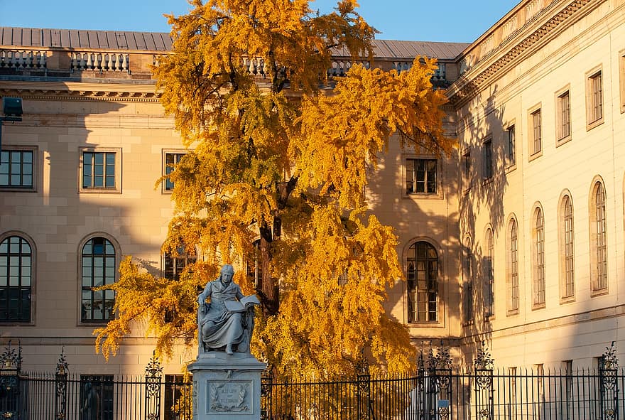 Humboldtova univerzita, budova, socha, Berlín, univerzita, humboldt, strom, sochařství, památník, kampusu