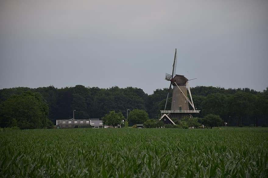 Nizozemí, větrný mlýn, pole, vesnice, venkovský, Holandsko, větrná energie, historický, krajina, louka