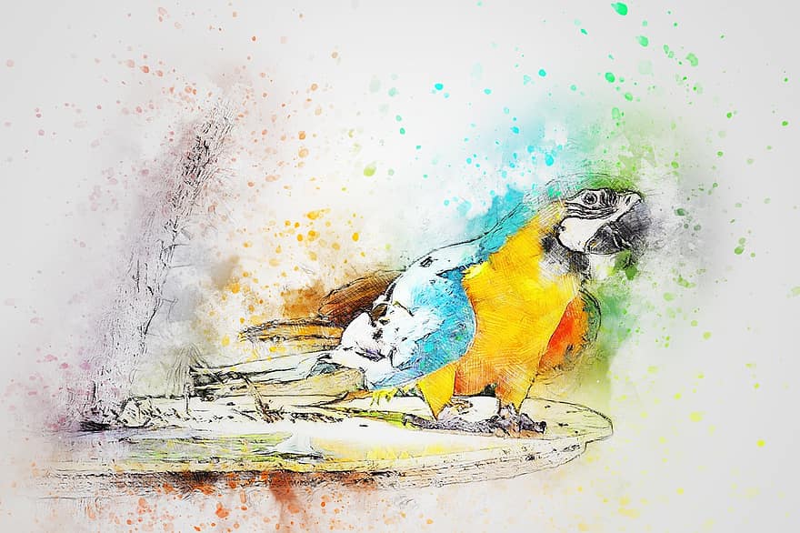 Bird, Parrot, Feathers, Art, Abstract, Watercolor, Animal, Colorful, Vintage, Spring, Nature