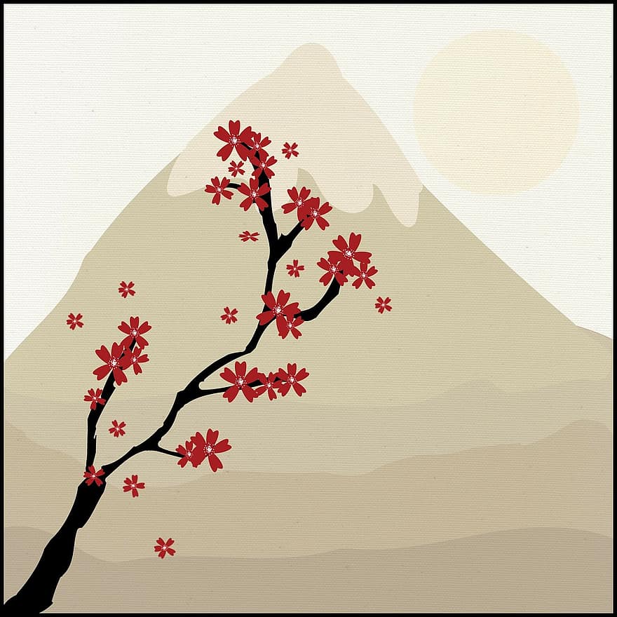 japonský, strom, hora, javor, květ, květiny, květinový, růžový, Krásná, sníh, sníh limitován
