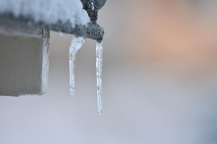 Winter, Schweiz, Frost, Eiszapfen, Morgen, Nahansicht, Eis, fallen, Hintergründe, Schnee, gefroren