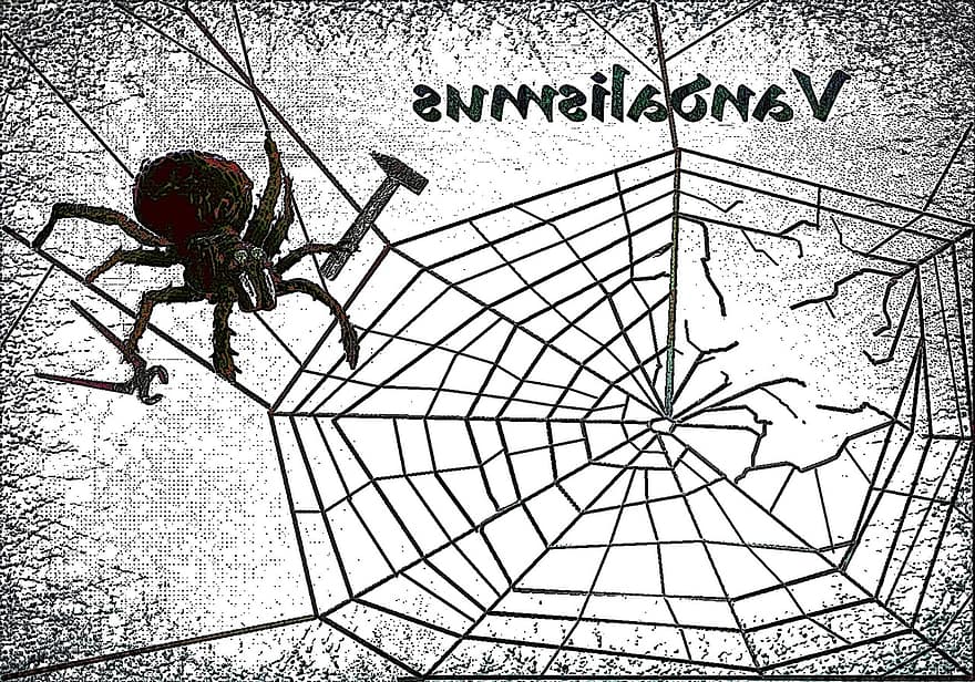 araignée, le web, réparation, outil, vandalisme