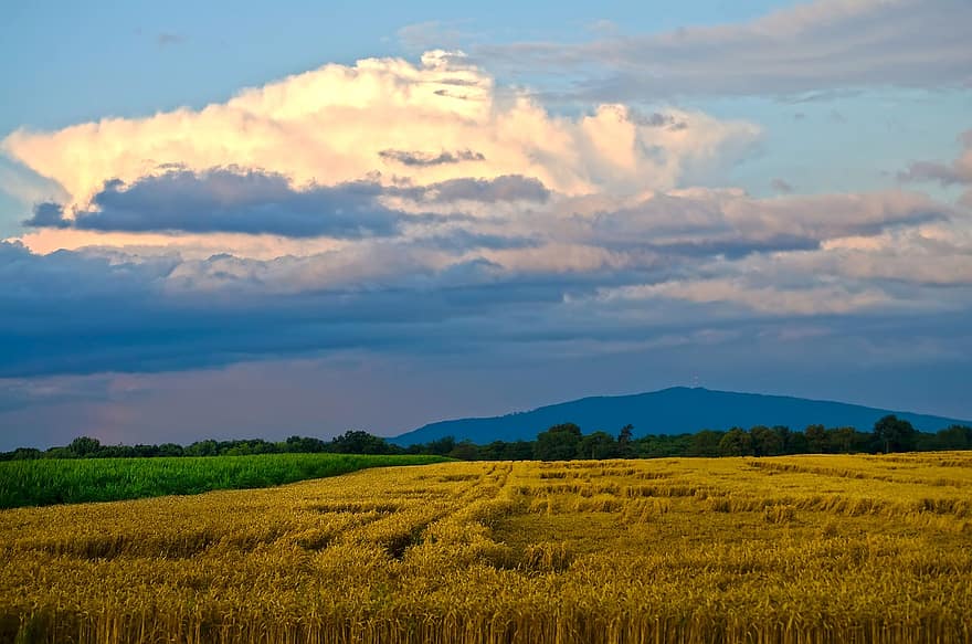 campo, montagna, Ślęża, Polonia, Slesia, azienda agricola, piantagione, campagna, paesaggio, natura, nuvole