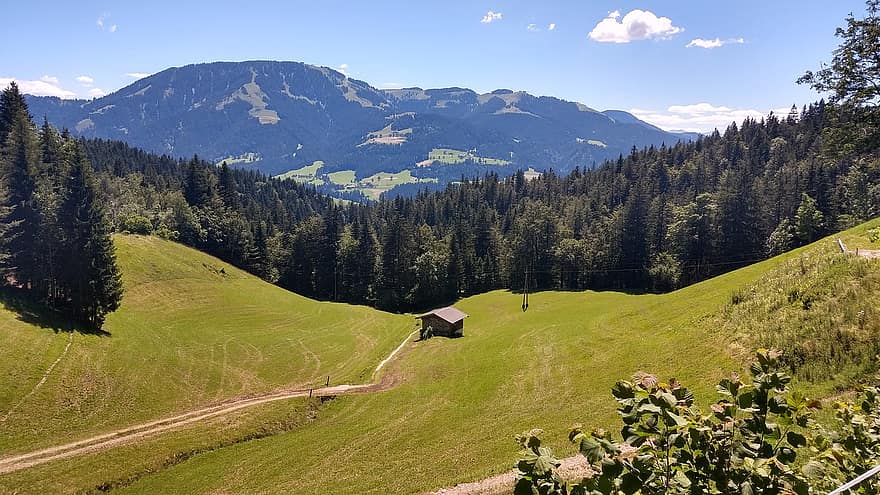 österrike, alpin, bergen, Tyrolen, landskap, sommar