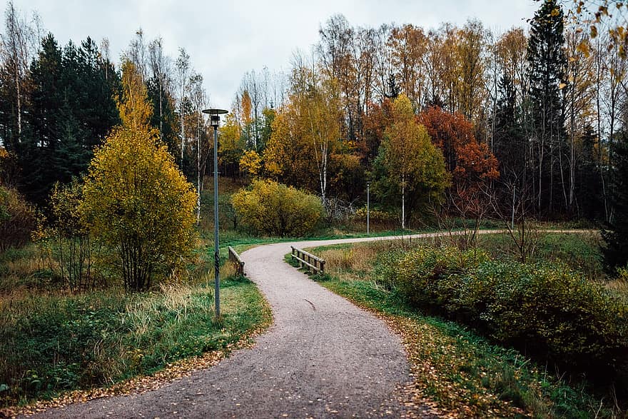 есен, парк, Финландия, гора, пейзаж, природа, поле, околност, шума, път