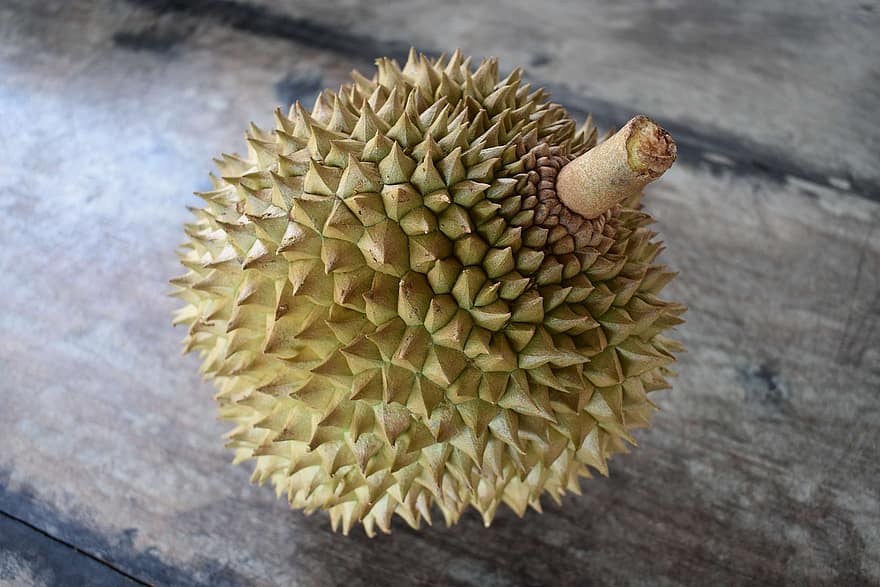 durian, καρπός, φαγητό, φρέσκο, υγιής, μυρωδιά, ώριμος, οργανικός, γλυκός, τροπικός, παράγω