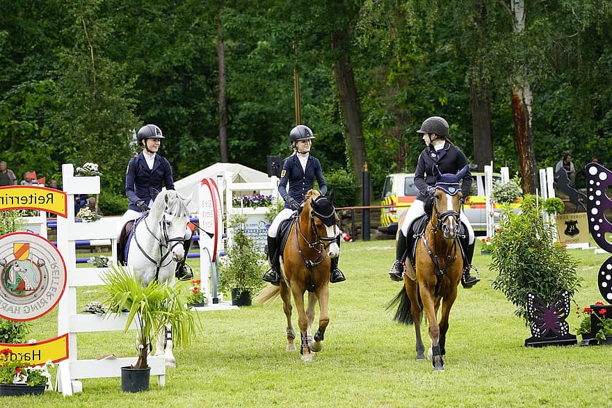 Show Jumping, Award Ceremony, Horses, Girls, Sport, Riding, Equestrian, horse, competition, sports race, competitive sport