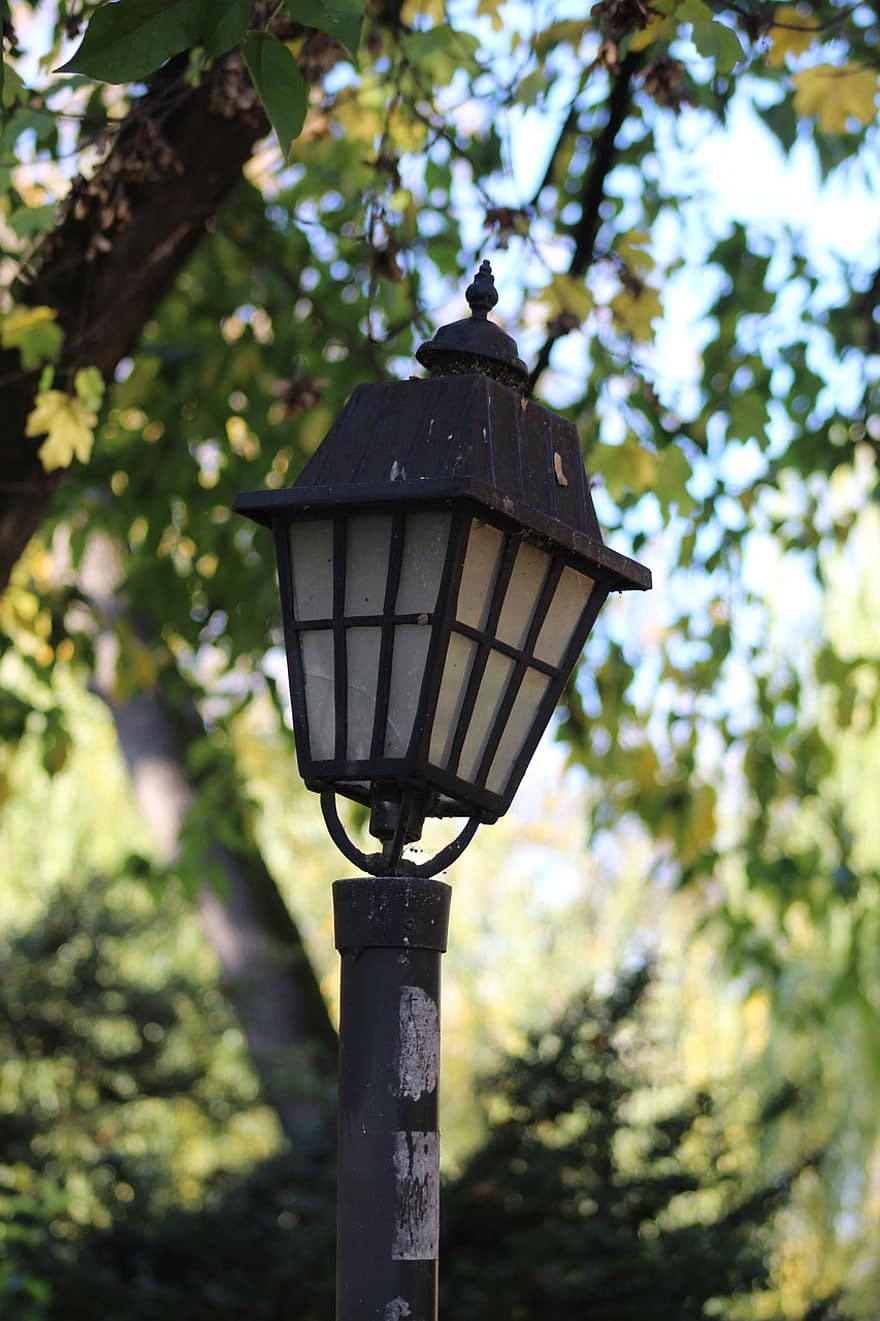 лампа, стълб за лампа, фенер, електрическа лампа, осветително оборудване, дърво, стар, метал, старомоден, един обект, улично осветление