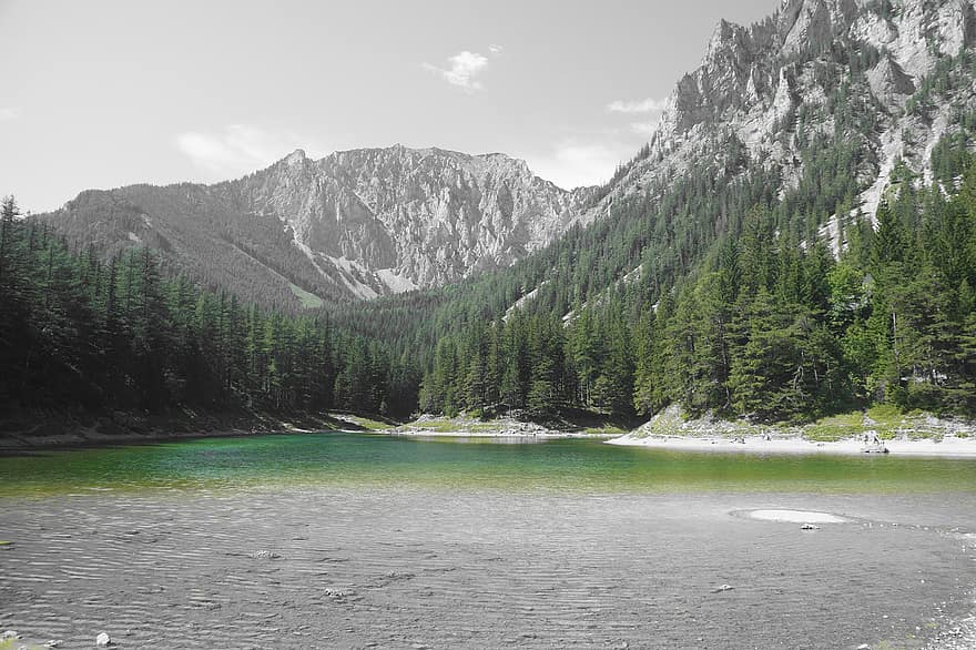Mountains, Lake, Trees, Nature, Green, Green Lake, Styria, Recreation, Oasis, Forest, Water