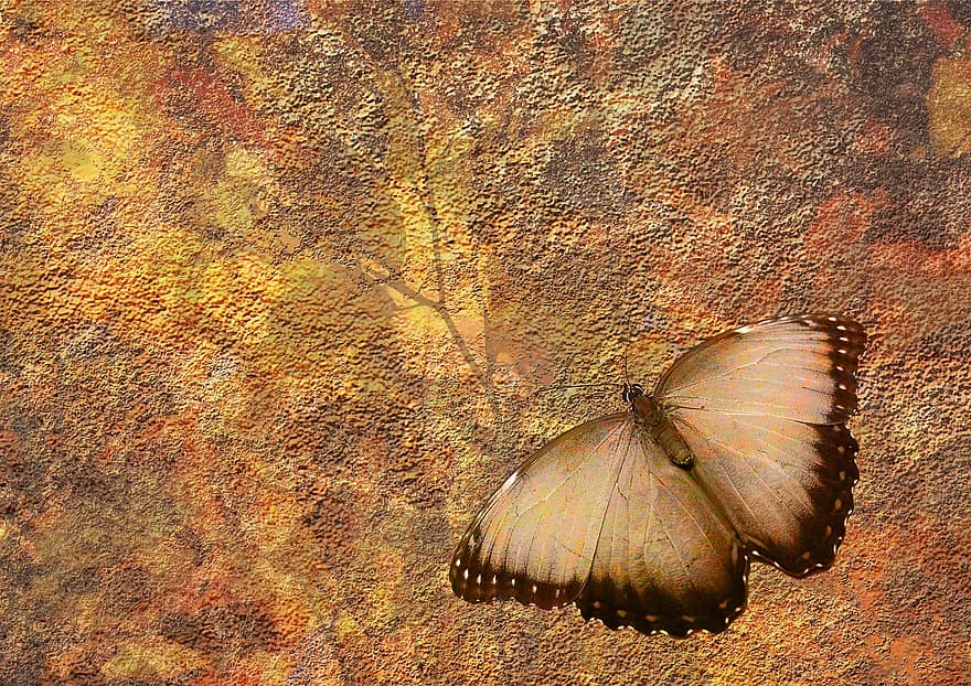 Background, Structure, Butterfly, Branch, Tree, Pattern, Dirty, Yellow, Autumn Colours, Grunge, Design