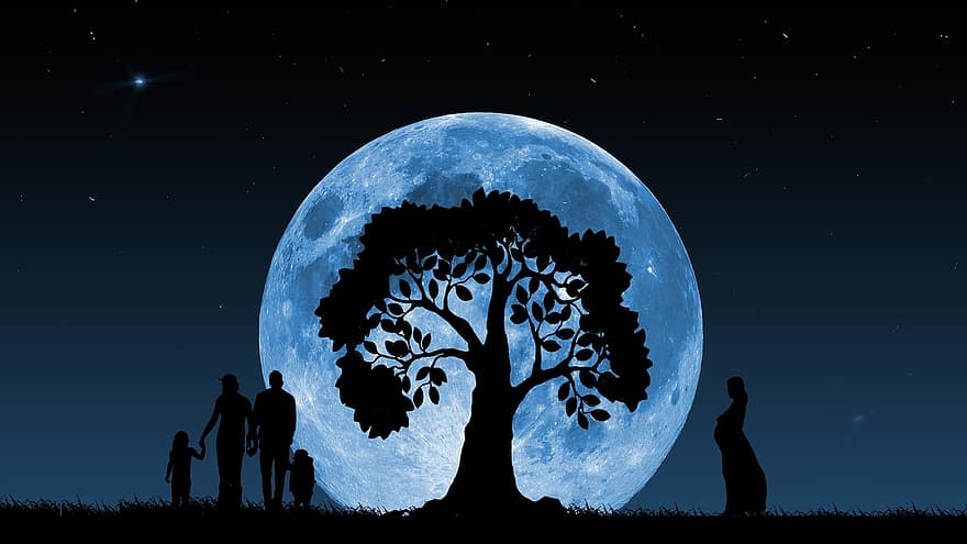 fa, nő, terhesség, anyaság, család, az élet fája, hold, sziluett, ábra, vektor, éjszaka