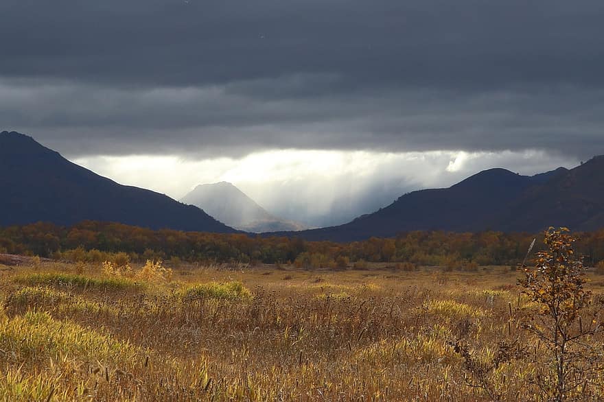 природа, горы, лес, поле, Kamchatka, на открытом воздухе, путешествовать