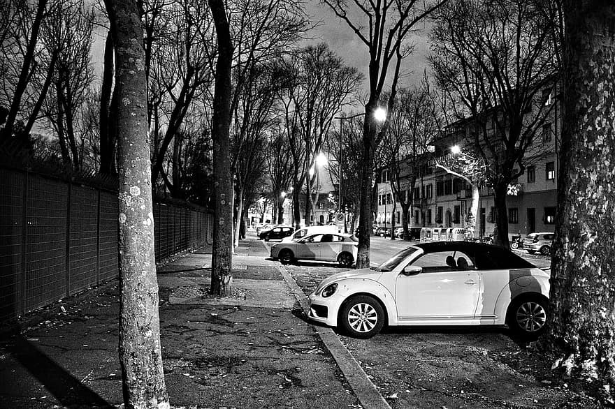 carrer, cotxes, monocroma, ciutat, poble, cotxe, blanc i negre, transport, trànsit, nit, vida de ciutat