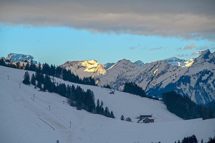 Schweiz, vinter, natur, sæson, sne, bjerg, landskab, blå, bjergtop, Skov, is