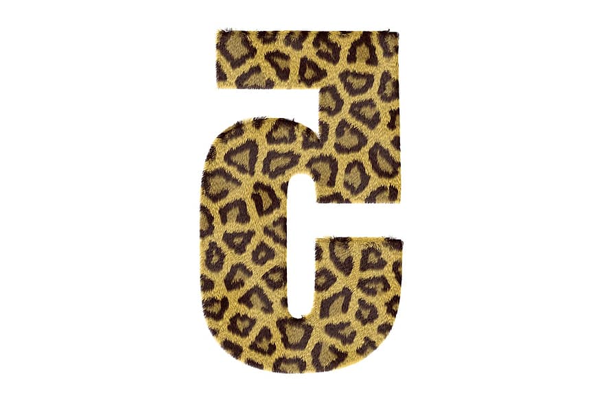cinq, nombre, modèle, texture, léopard, texte