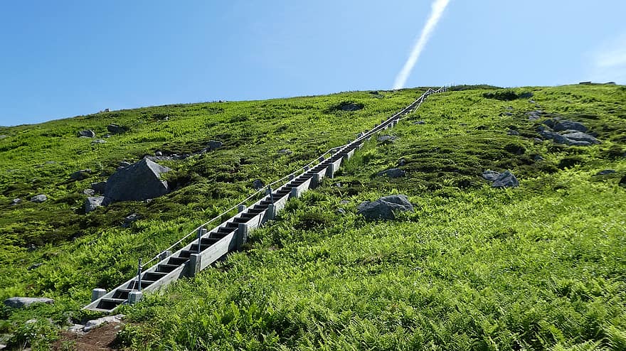 schody, Góra, Natura, wycieczka, wędrówki, kroki, klatka schodowa, gros morne, Nowa Fundlandia