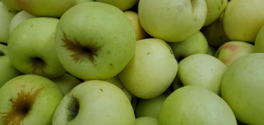pommes vertes, fruits, aliments, pommes, fruits verts, produire, en bonne santé, vitamines, biologique, récolte
