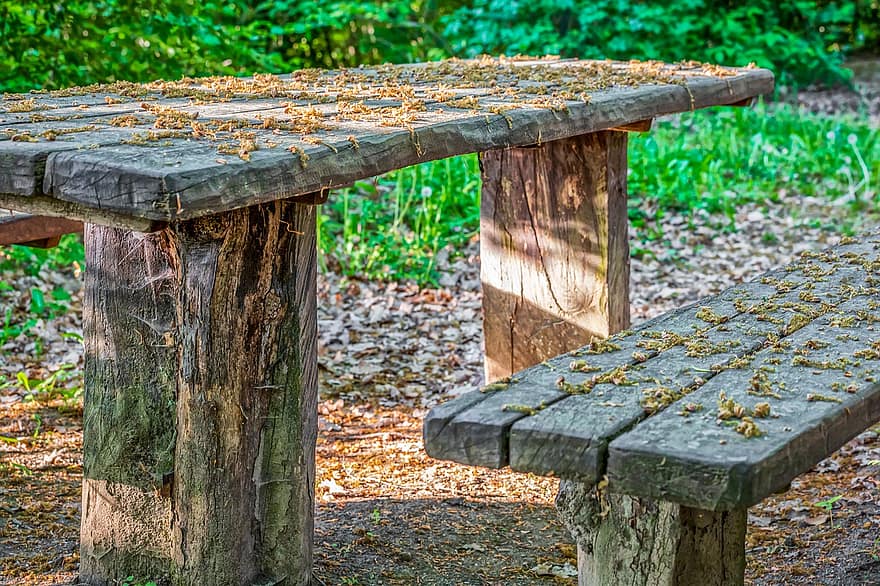 Bench, Forest, Nature, Landscape, Table, Leaves, Abandoned, Quiet, Relaxation, Wood, Resting Place