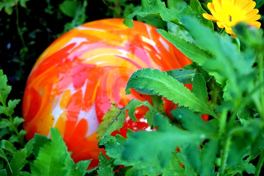 стеклянный шар, растения, сад, украшение, Красочный стеклянный шар, листья, цветок, природа, лист, зеленого цвета, летом