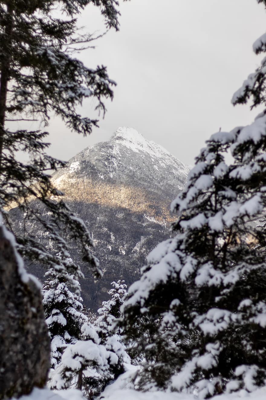 Alpler, Tirol, kış, kar, kar yağışlı, soğuk, dağ, zirve, gunes isigi, tschirgant, orman
