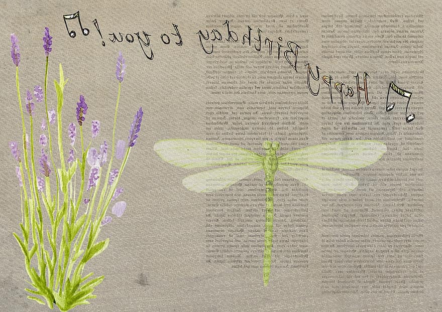 Card, Birthday, Happy, Dragonfly, Lavender, Party, Happy Birthday, Celebration, Happy Birthday Card, Design, Happiness