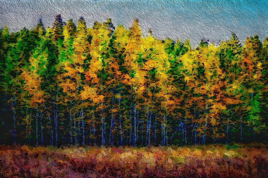 لوحة ، الحور الرجراج ، طبيعة ، الأصفر ، الخريف ، اللون ، أوراق الشجر ، ورقة الشجر ، بيئة
