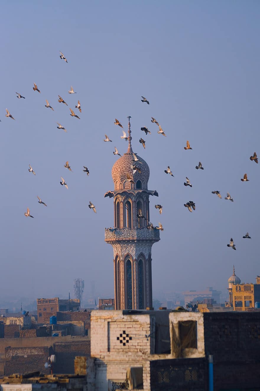мечеть, птицы, ислам, архитектура, небо