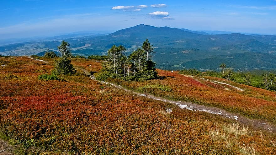 natureza, outono, temporada, ao ar livre, viagem, exploração, montanhas, grama, turismo, Pilsko, polyana