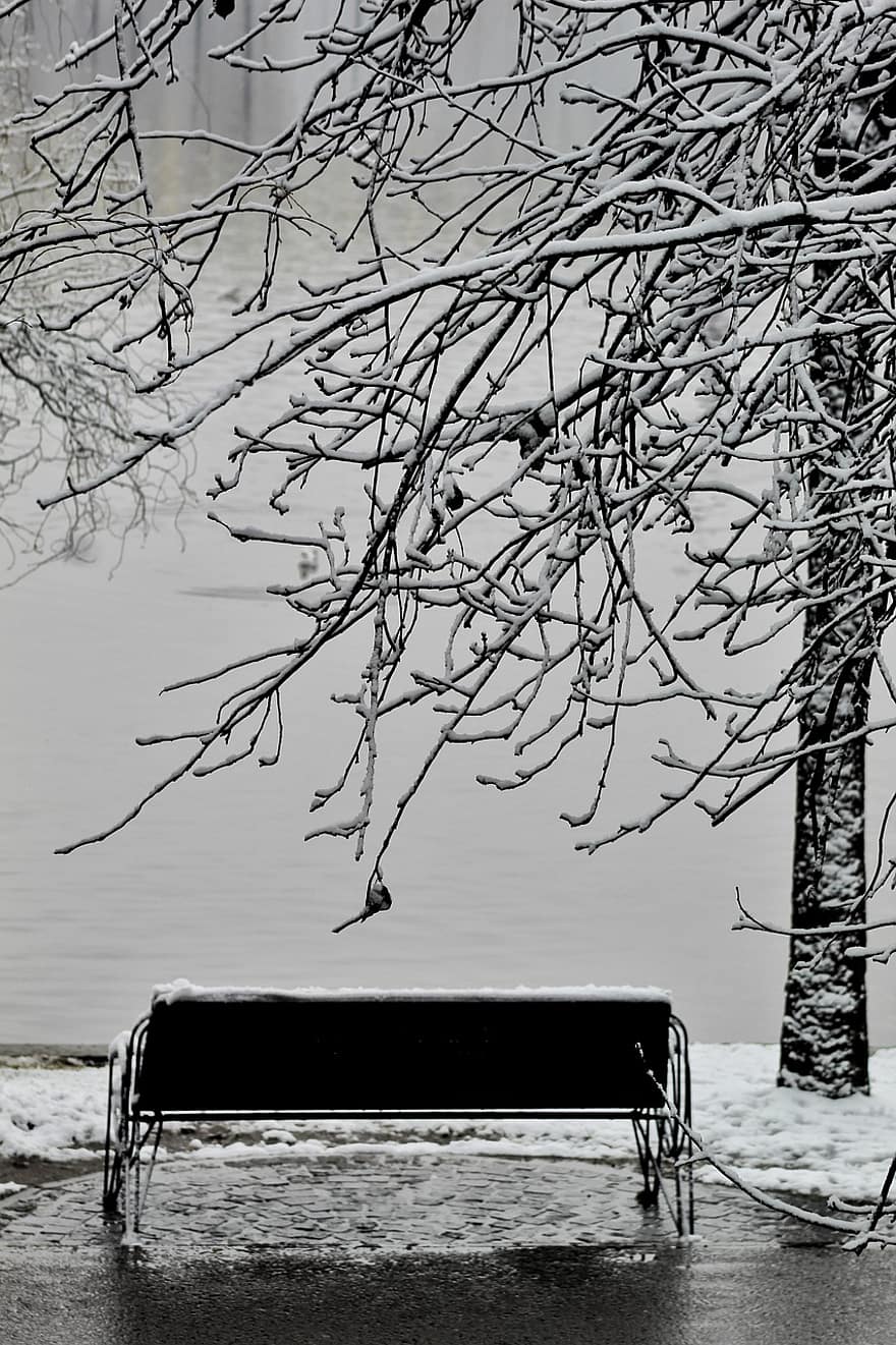 snow, bench, river