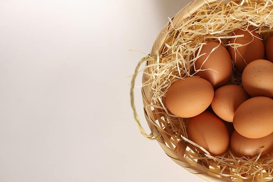 eggs, healthy, protein, food, close-up, animal egg, freshness, nature, animal nest, farm, organic