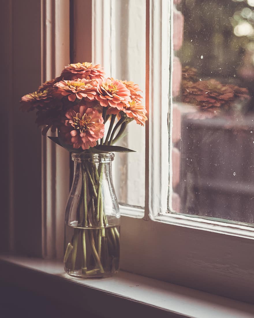 květ, váza, okno, rostlina, sklenka, čerstvý, pokoj, místnost, interiér, dekorace, během dne, květináč