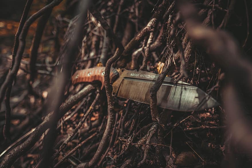 Knife, Nature, Roots, Woods, Tool, Weapon, Forest, Background, Wooden