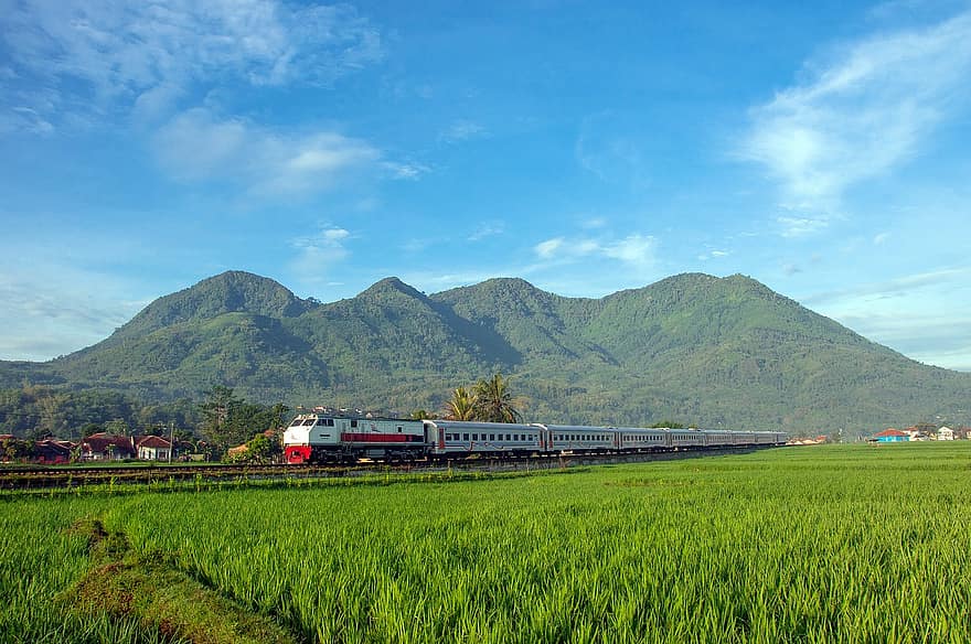 vonat, hegyek, mezők, rizsföld, rizs ültetvény, rizs gazdaság, rizs paddies, vasúti, vasút, vasúti rendszer, személyszállító vonat