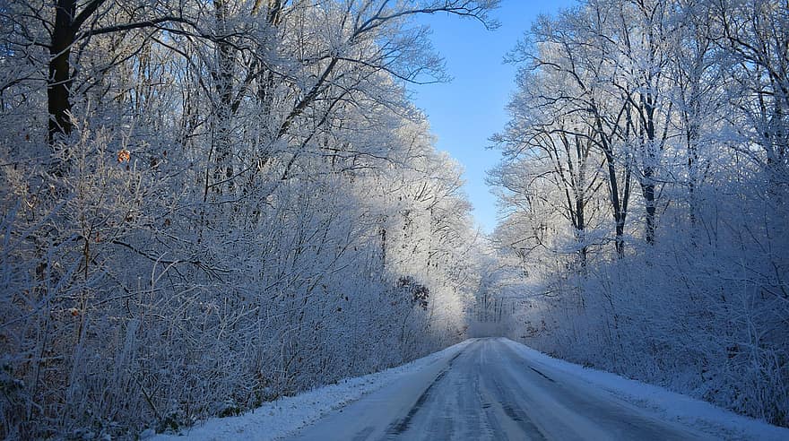inverno, neve, floresta, estrada