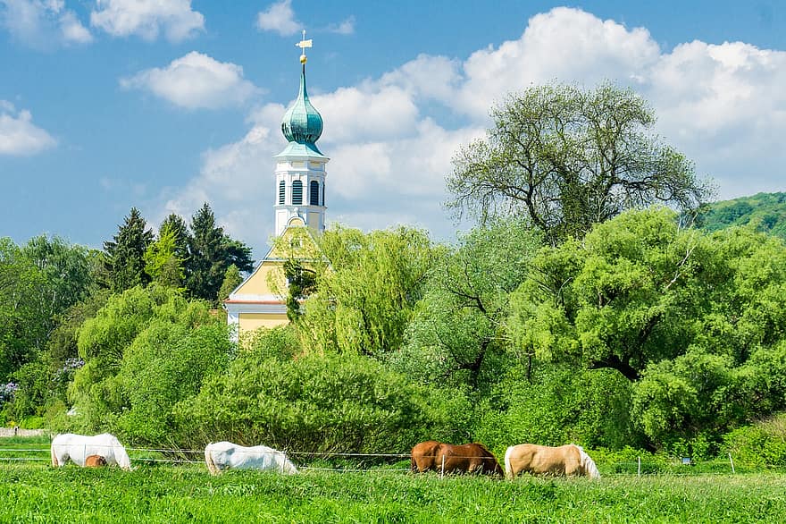 Chiesa, cavalli, erba, Sassonia, Dresda, primavera, pascolo, natura, mammifero, rurale, prato