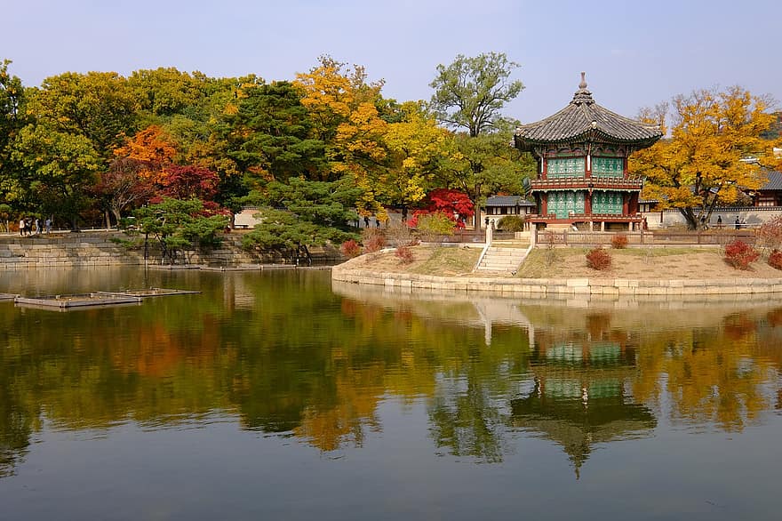 jardí, naturalesa, tardor, caure, temporada, palau gyeongbok, arbre