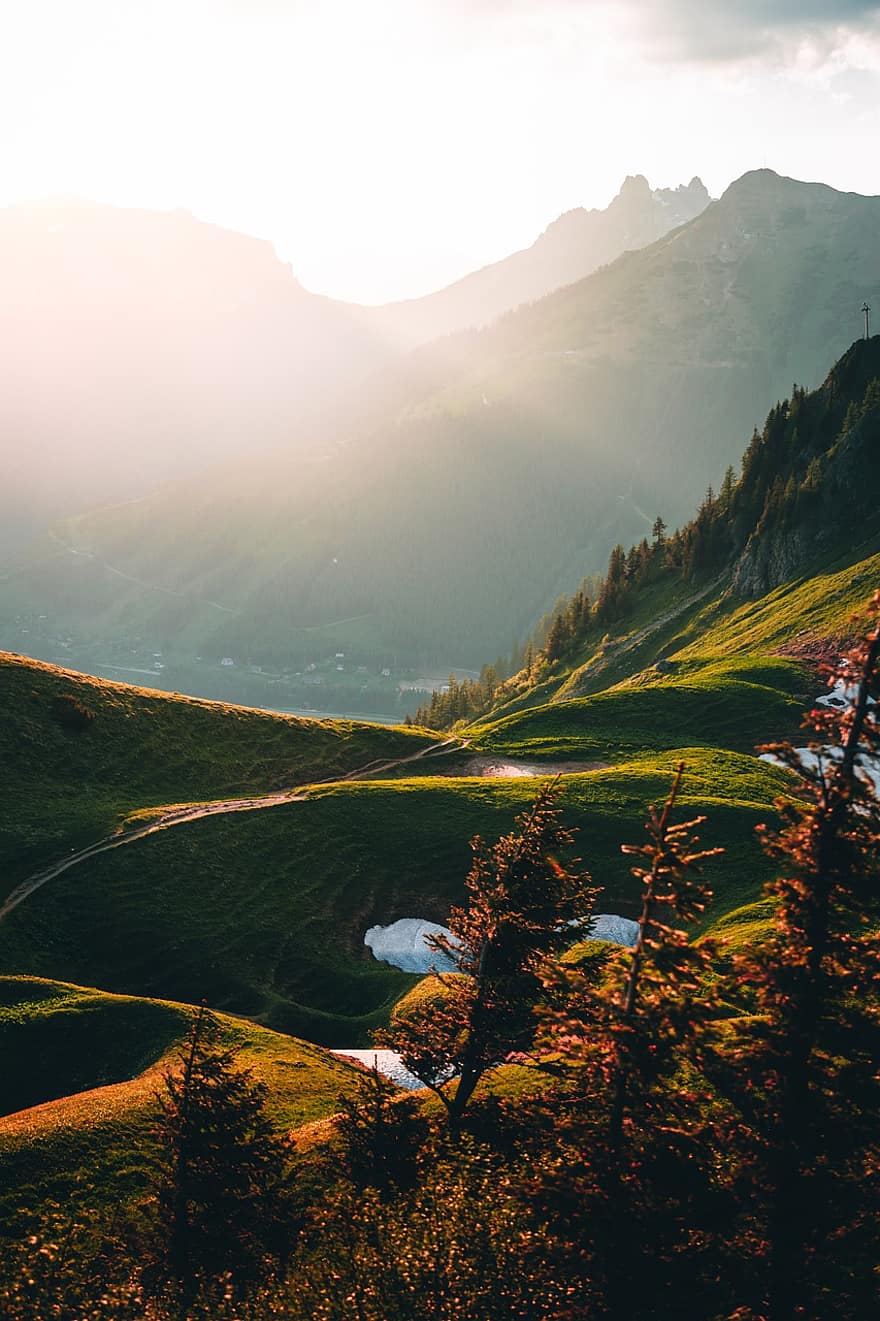 Austria, munţi, răsărit, dimineața, vară, Alpi, Munte, peisaj, rural, pădure, Culoarea verde