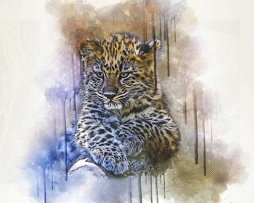 leopard, cub, dyr, feline, katt, natur, vill, rovdyret, søt, digital manipulasjon
