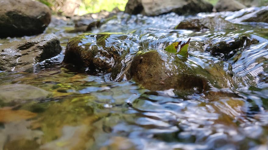 река, скали, поток, ручей, вода, камъни, зелен цвят, рок, мокър, гора, лято