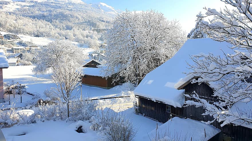 góry, kabina, dom, Chata, drzewa, śnieg, zimno, zimowy