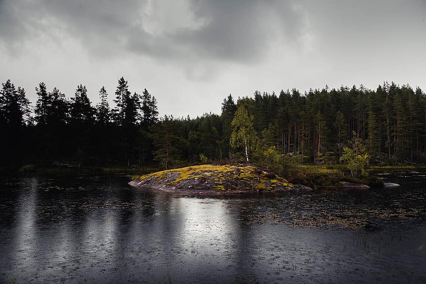 호수, 나무, 숲, 어두운, 반사, 물, 극적인, 자연, 우울한, 신비로운, 스웨덴
