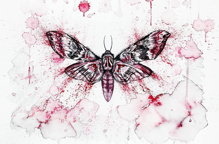 Red, Moth, Butterfly, Insect, Moths, Watercolor, Watercolour, Art, Fine Art, Painting, Creepy
