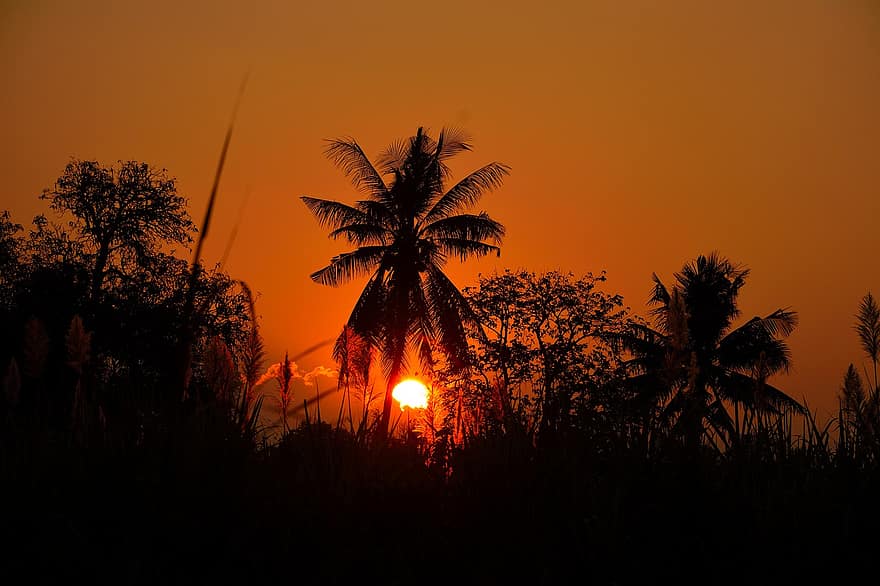 le coucher du soleil, paysage, des arbres, la nature, Thaïlande, en plein air, Voyage, crépuscule, Soleil, lumière du soleil, silhouette