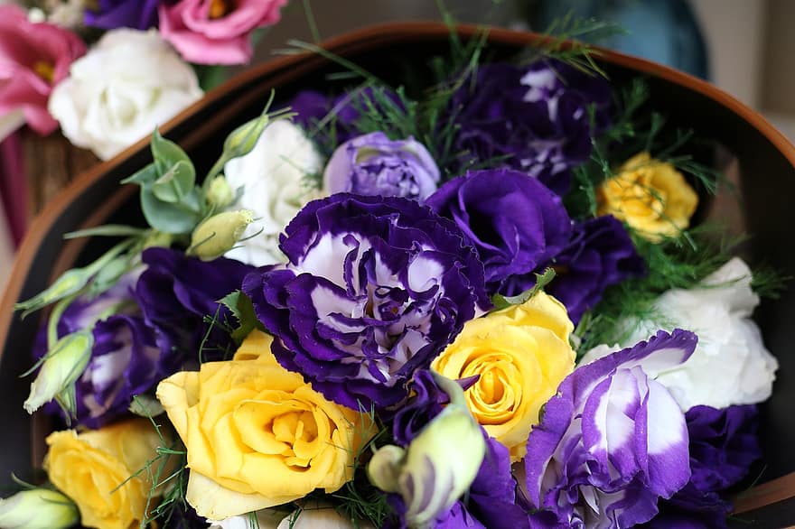 Flowers, Petals, Floral, Bouquet, Arrangement