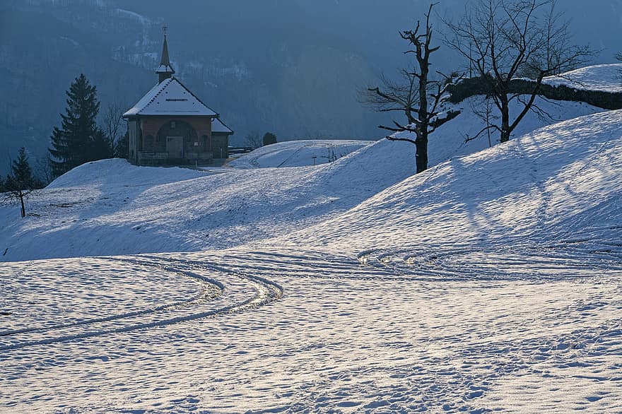 maison, hiver, neige, chemin, des arbres, congère, du froid, gel, cabine, architecture, Morschach