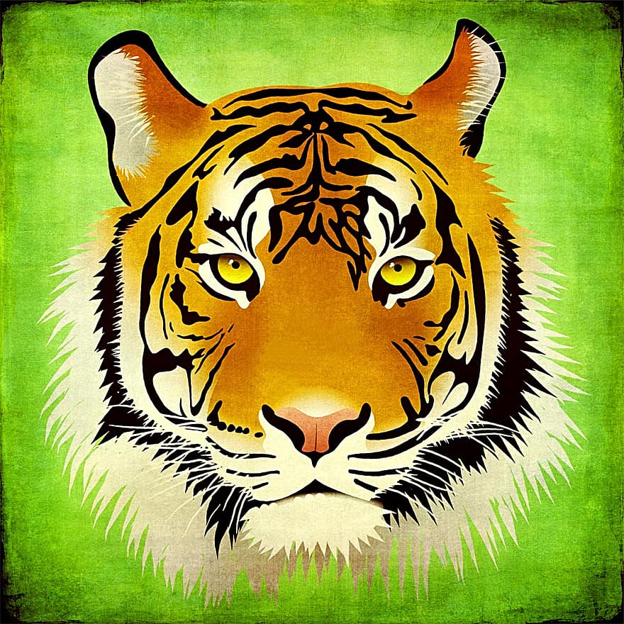 tigru, pisică, pisica mare, lumea animalelor, portret de leu, portret, animal, mural, poster, grădină zoologică